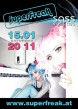 Flyer 2011-01-15 400
